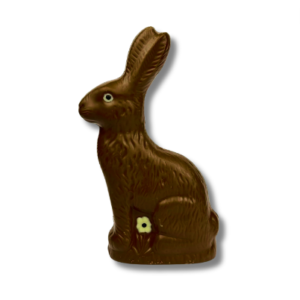 Chocolate Bunny